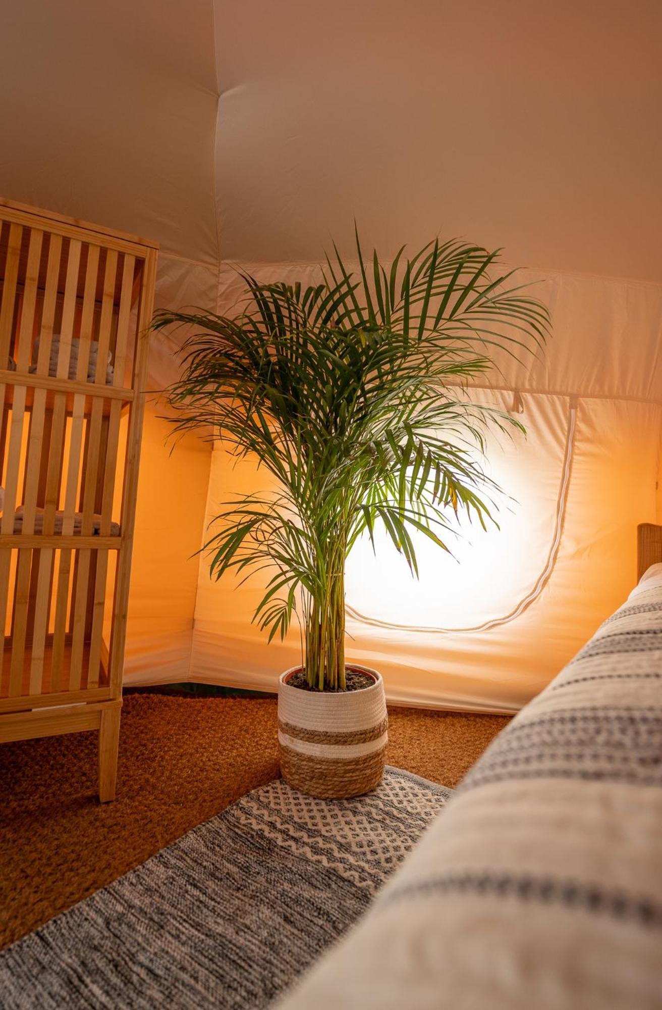 Glamping Gozdna Jasa *